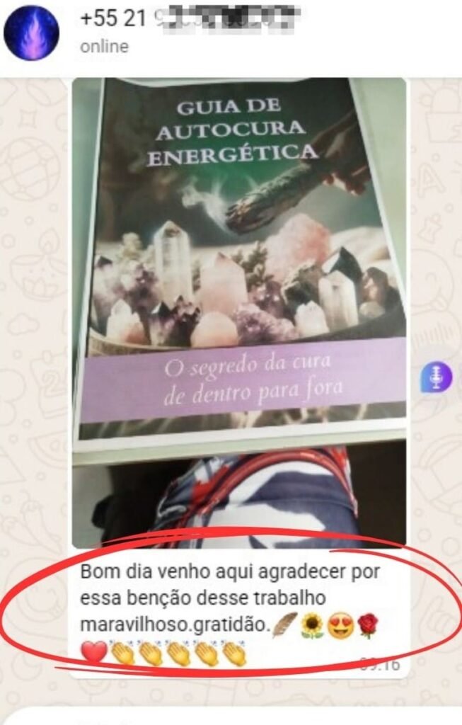 Guia de Autocura Energética