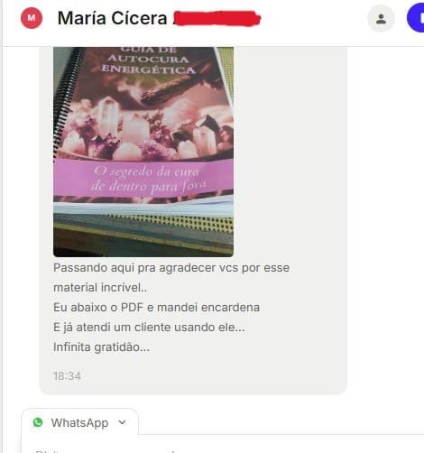 Guia de Autocura Energética